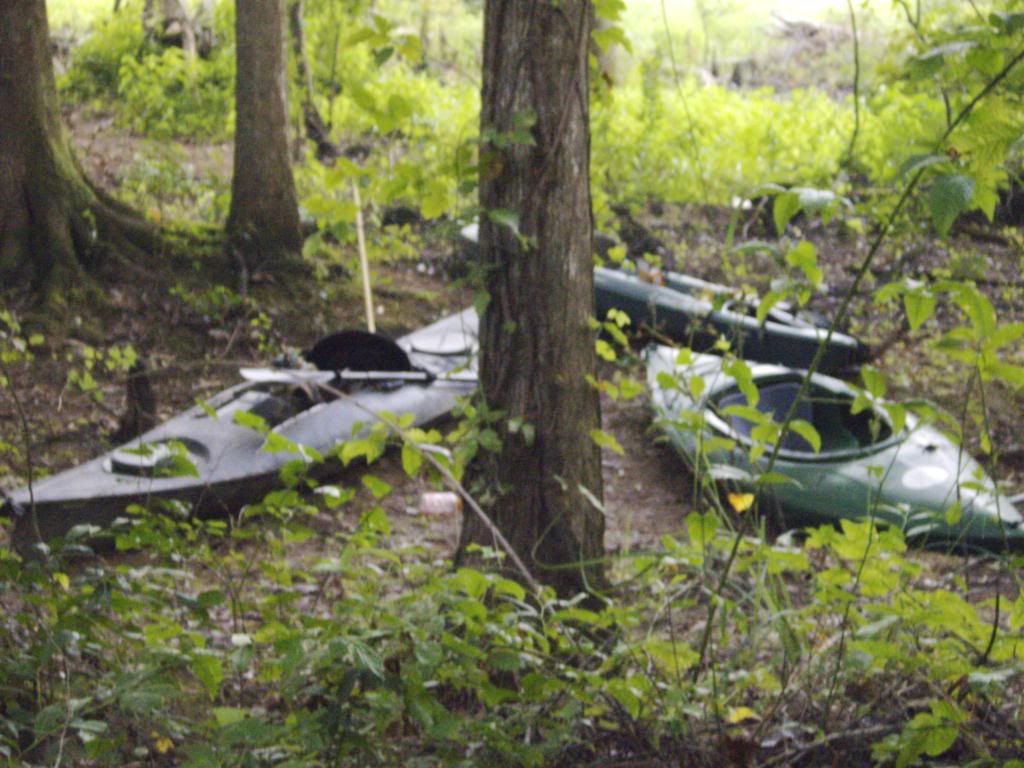 Kayaking the Ogeechee River in 2009 *Pic HEAVY* (1